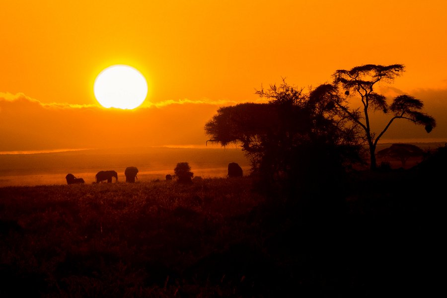 Amboseli National Park &copy;Ray in Manila