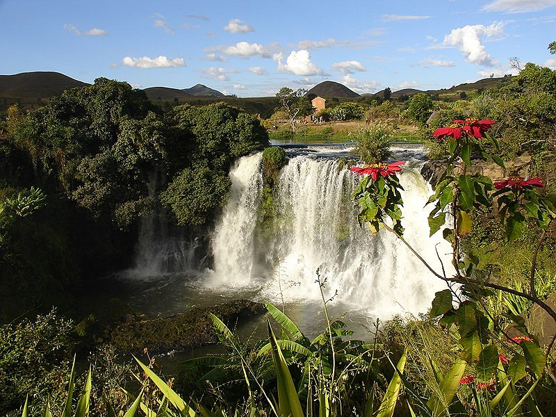 Lily Waterfall