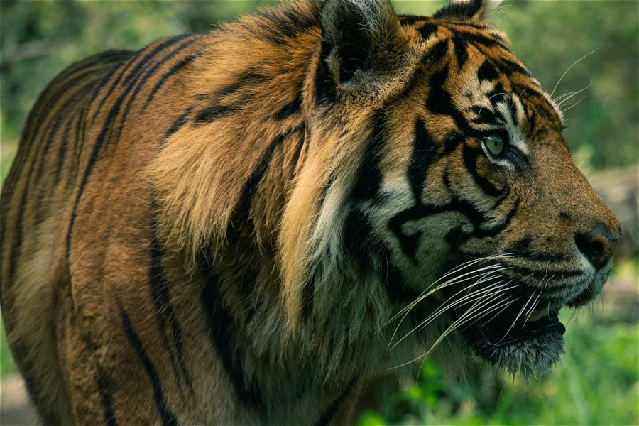 Burgers' Zoo &copy;Michael van Gorkum