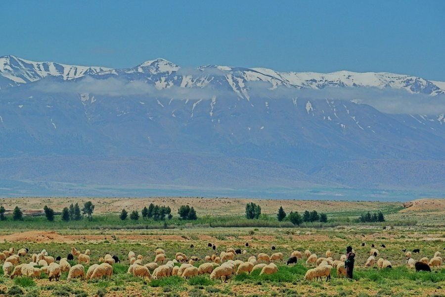 Atlas Mountains &copy;Tienko Dima