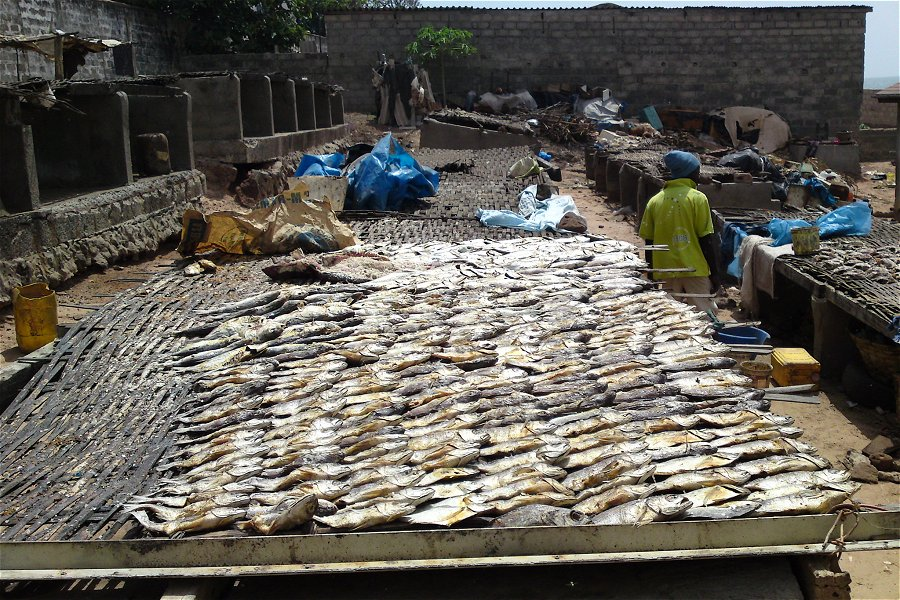 Fish drying &copy;Maarten van der Bent