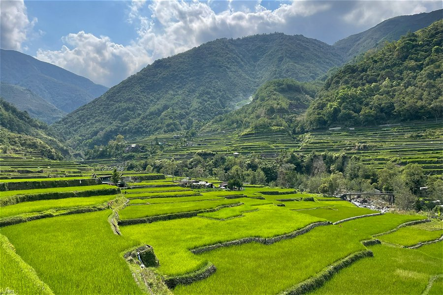 Ifugao Rice Terraces &copy;Omri D. Cohen