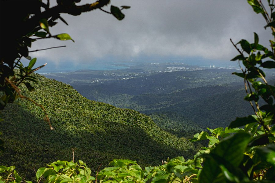 El Yunque National Forest &copy;Angel Rivera