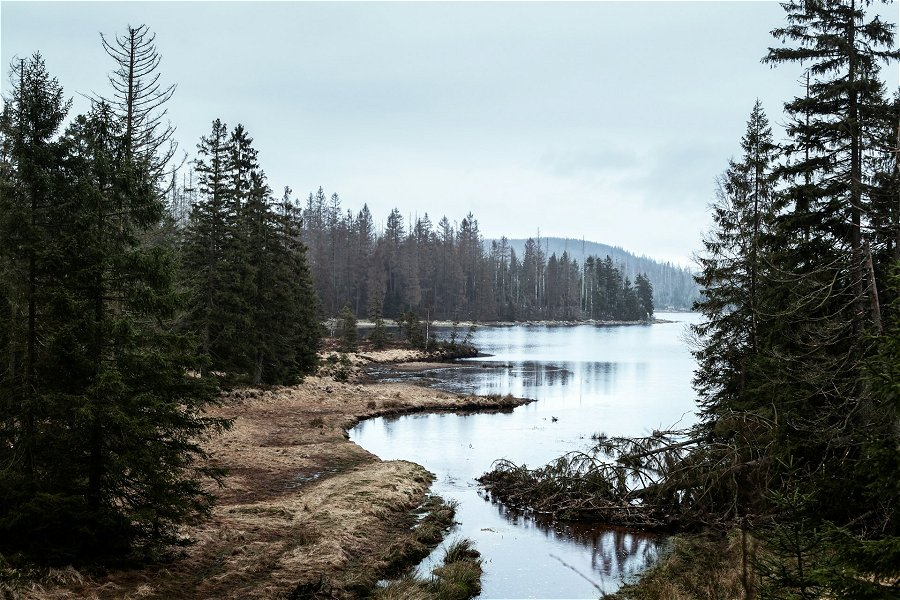 Oderteich lake &copy;Rocco Ronneburg