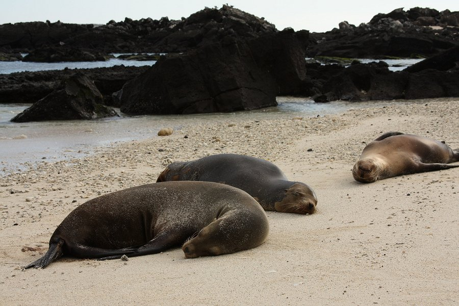 Darwin Bay &copy;Steven Bedard