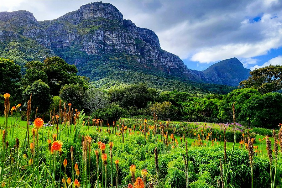Kirstenbosch National Botanical Garden &copy;Margit Umbach