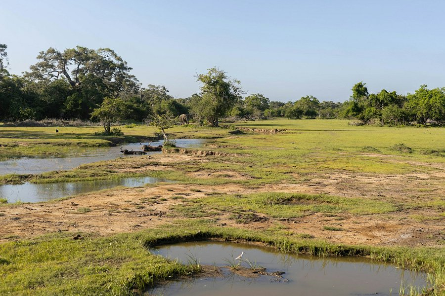 Kumana National Park &copy;Marina Akurugoda