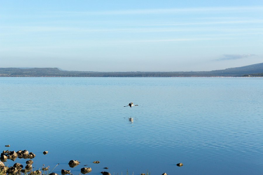 Lake Naivasha &copy;Daniel Kandie