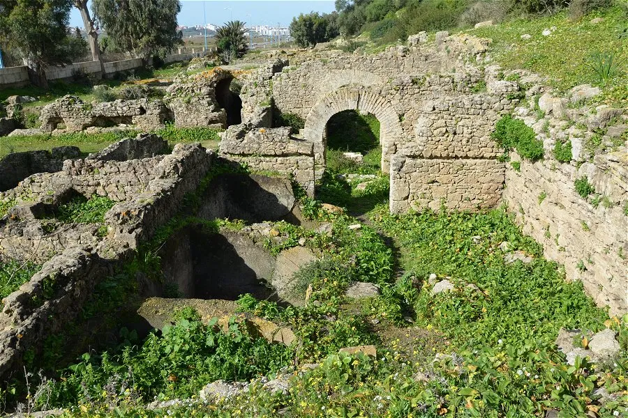 Lixus &copy;Carole Raddato