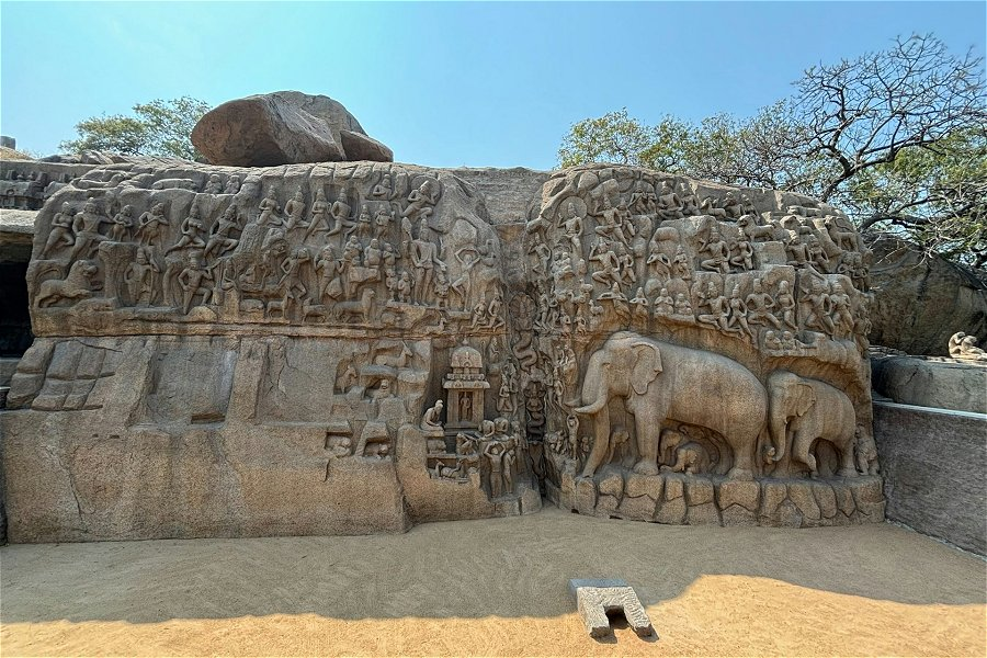 Arjuna Penace &copy;Manoj Kumar