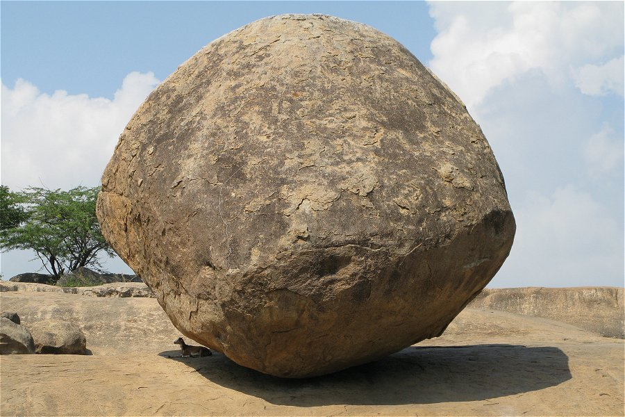 Krishna's Butterball &copy;Mountainamoeba
