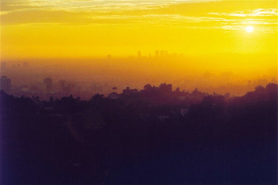 Babylon &copy;Suzi Hardy