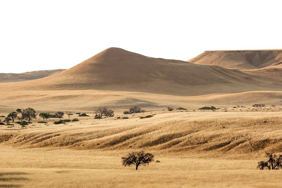 Namib-Naukluft National Park &copy;Joshua Kettle