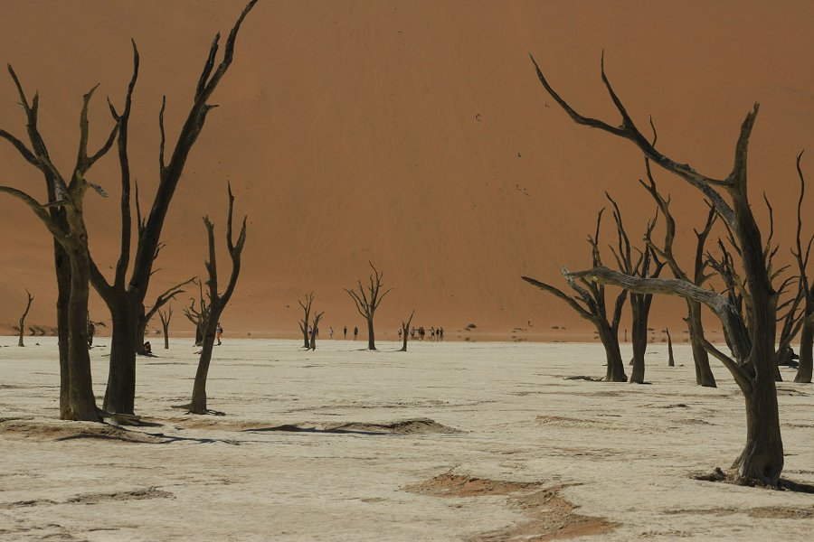 Deadvlei &copy;Tim G.