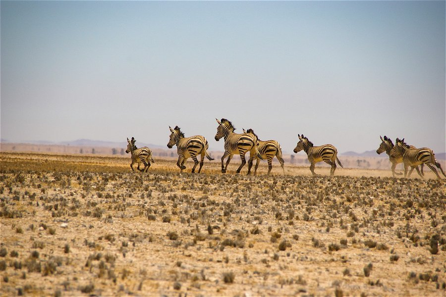 Namib-Naukluft National Park &copy;M. Oros