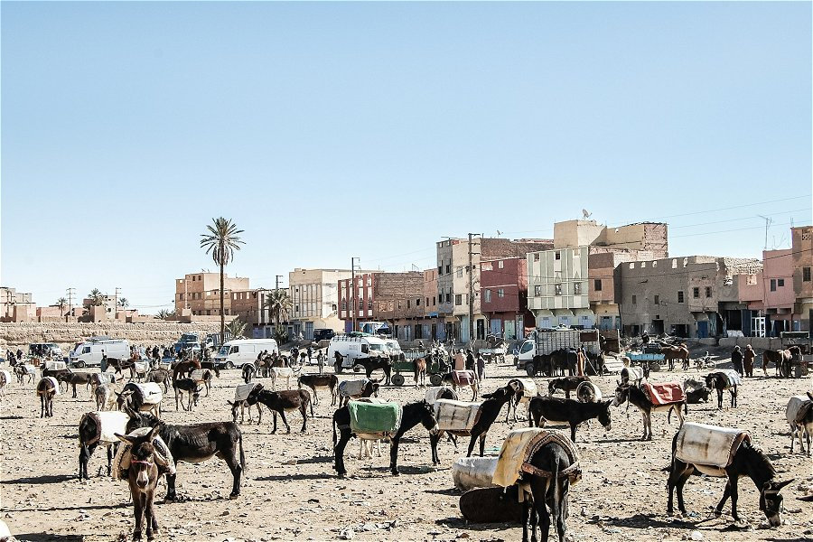 Donkey car park near the market &copy;Ferran Feixas