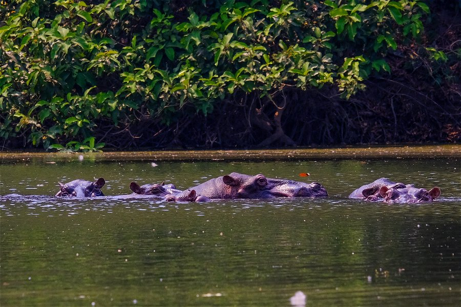 Outamba-Kilimi National Park