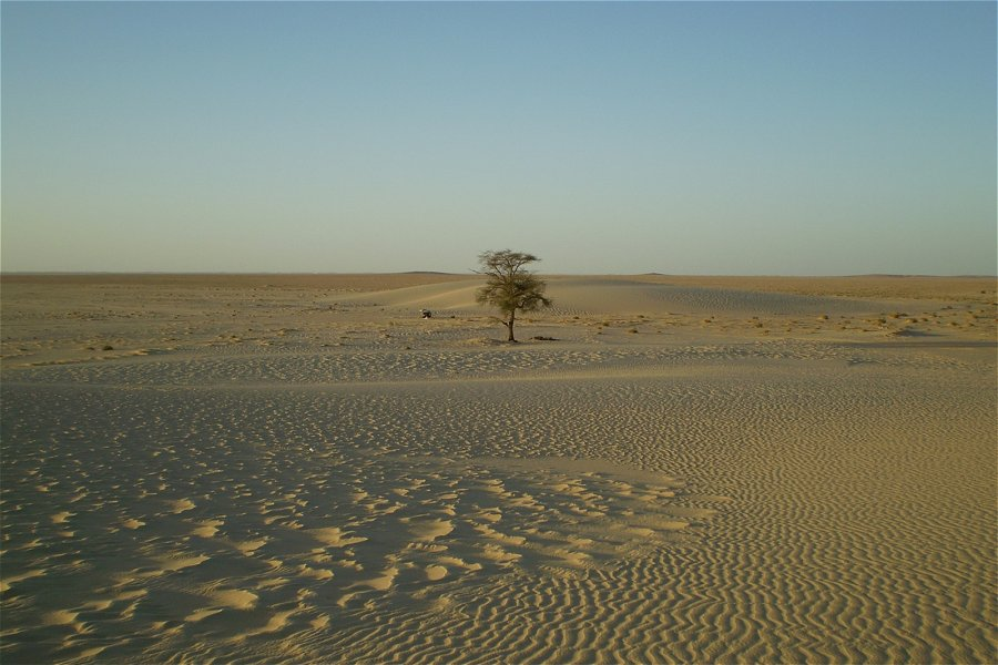 Parc National du Banc d'Arguin &copy;Mandrake Silvertongue