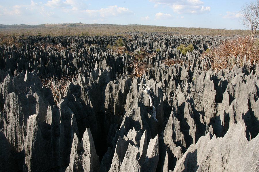 Tsingy de Bemaraha &copy;Marco Zanferrar