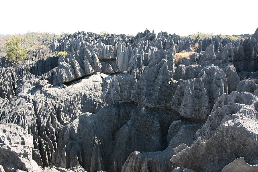 Tsingy de Bemaraha &copy;Marco Zanferrar