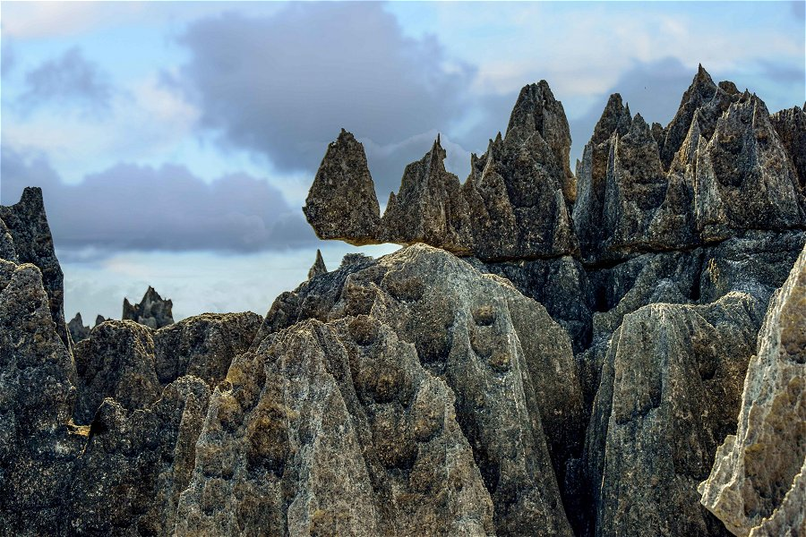 Tsingy de Bemaraha &copy;Rod Waddington
