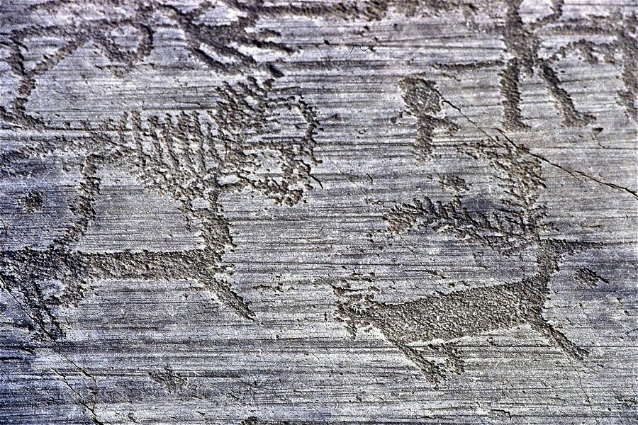 Parco Nazionale della Incicioni Rupestre
