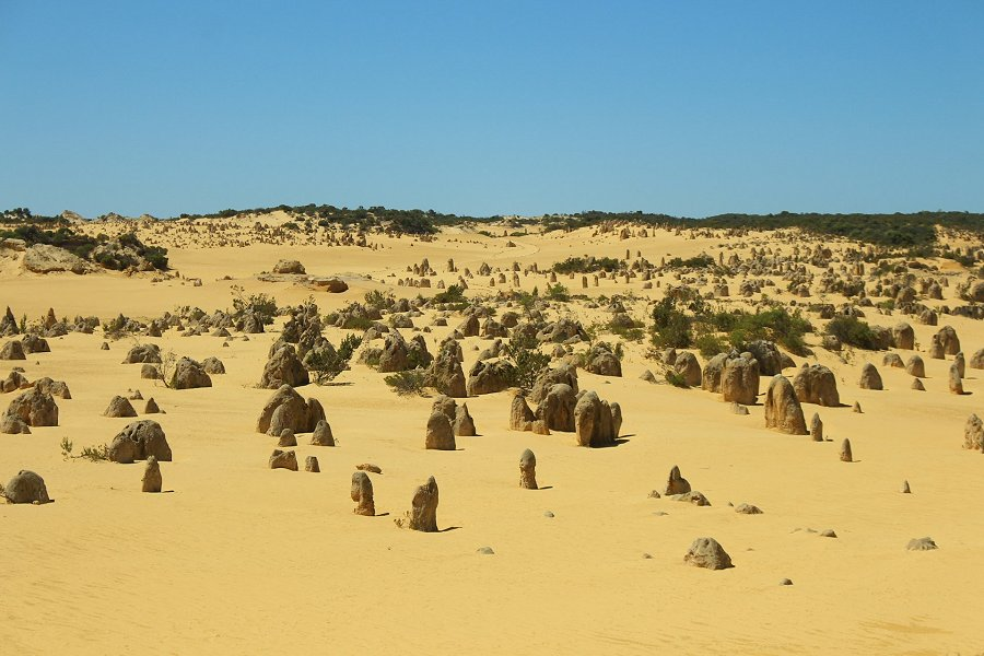 Pinnacles Desert &copy;Elliot Cullen