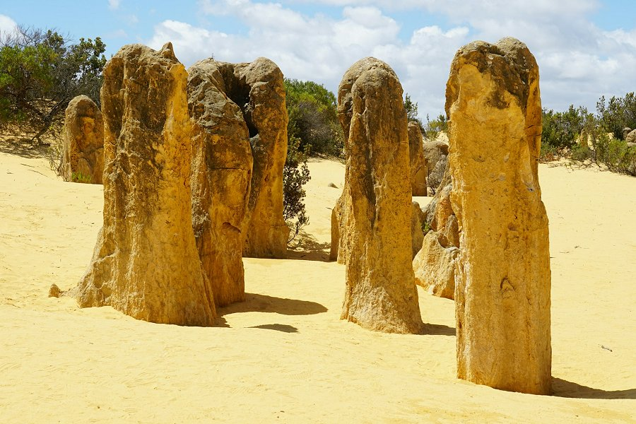 Pinnacles Desert &copy;Sheila C.