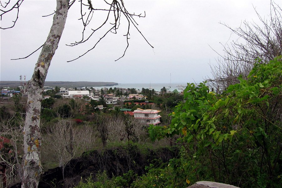 Puerto Ayora