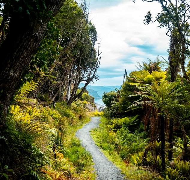 Rakiura National Park &copy;S&eacute;bastien Goldberg