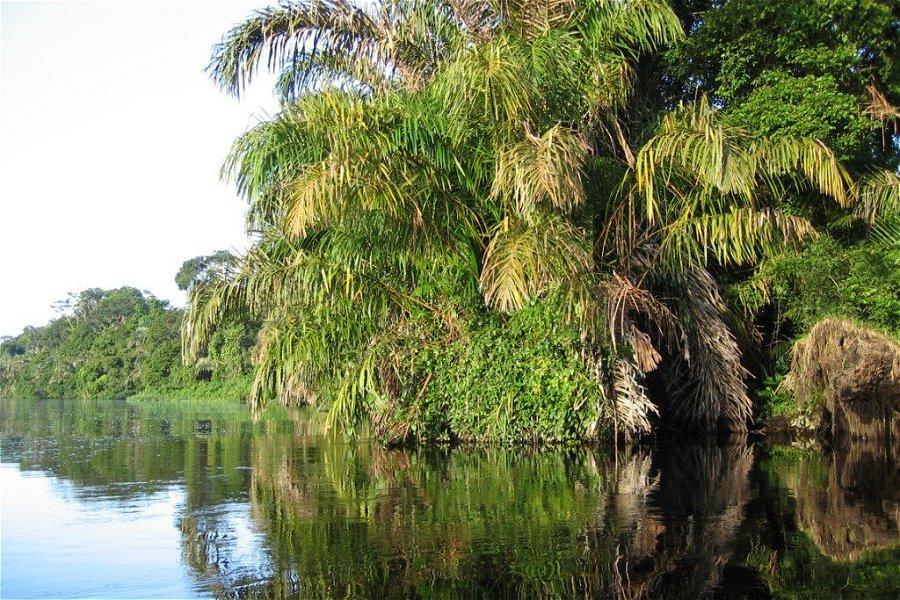 Refugio de Vida Silvestre Corredor Fronterizo