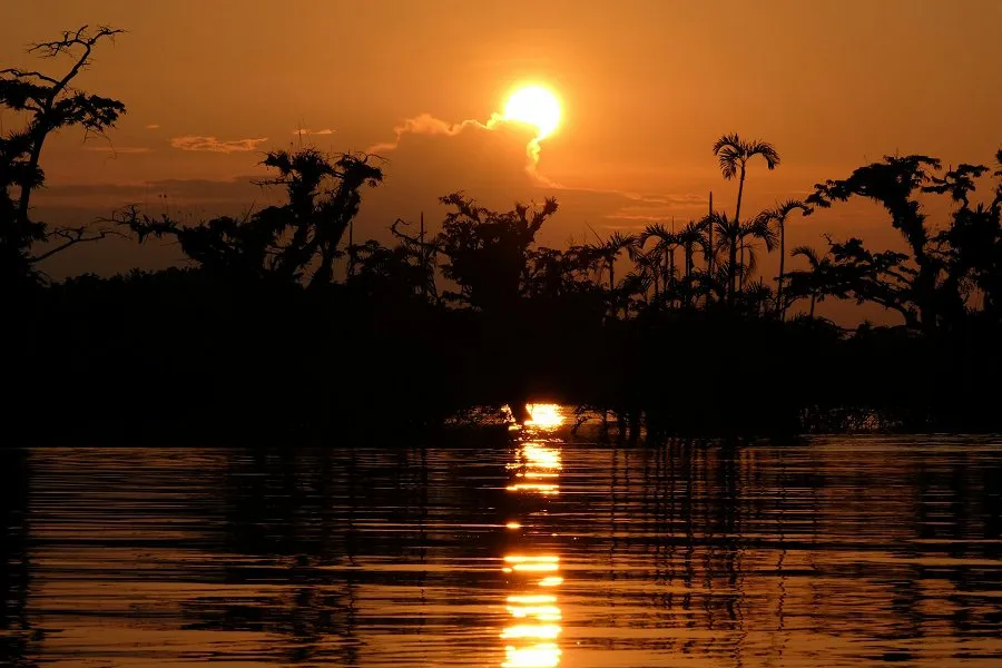 Cuyabeno Wildlife Reserve &copy;Simone Dinoia