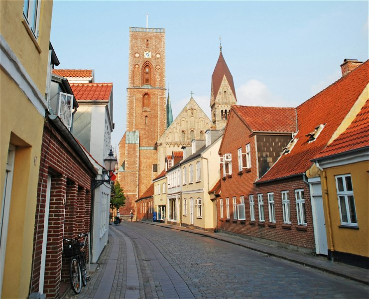 Ribe &copy;Vigouroux G&eacute;rald