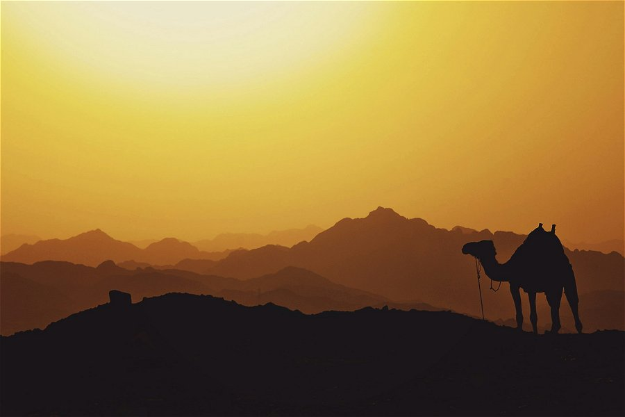 Sinai Peninsula &copy;Mariam Soliman