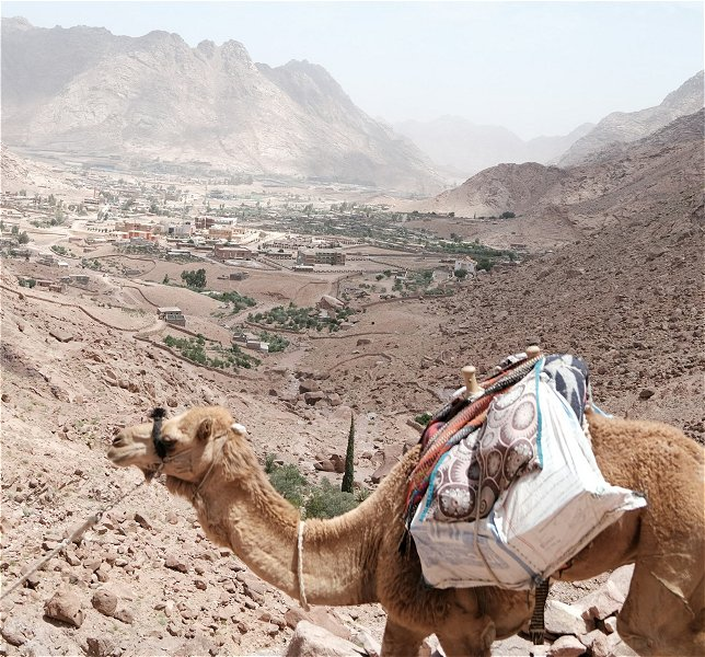 Sinai Peninsula &copy;Ahmad Ajmi