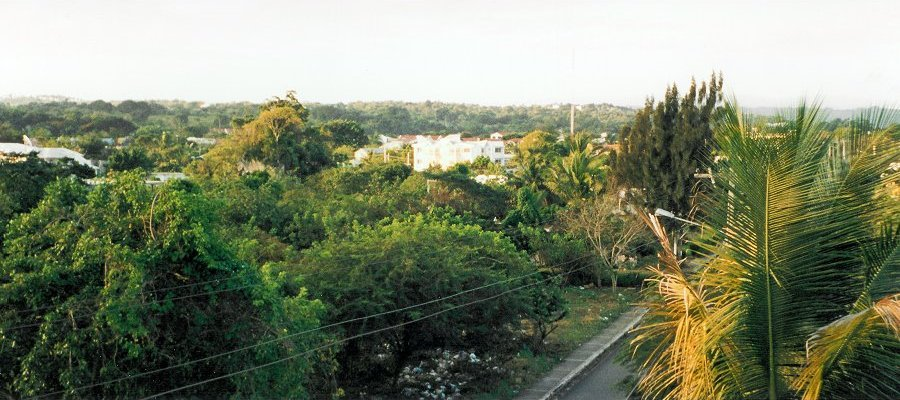 Sos&uacute;a