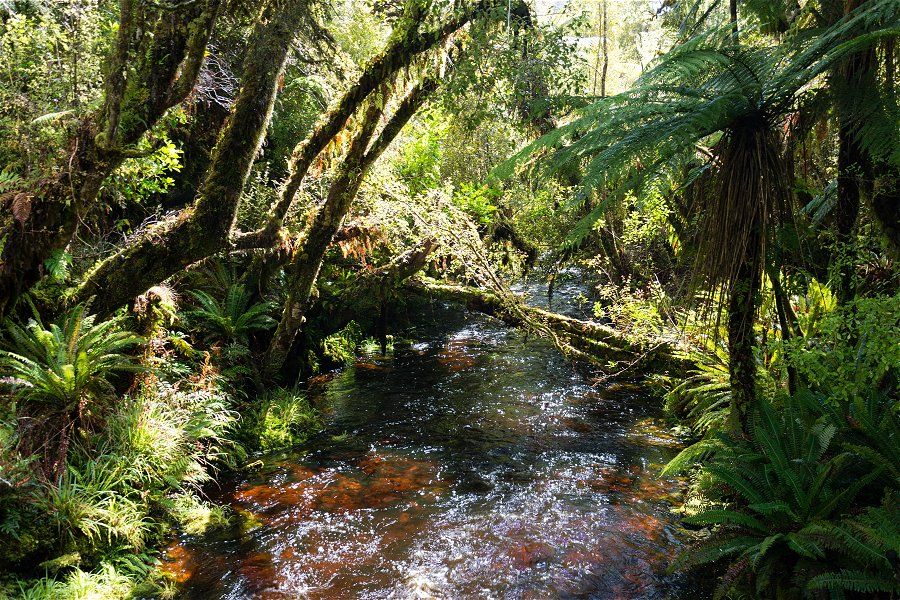 Stewart Island &copy;Christoph Str&auml;ssler