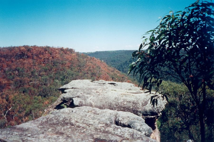 Sydney