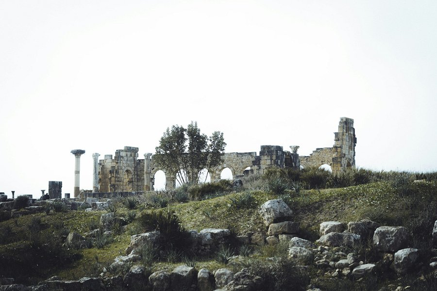 Volubilis &copy;Mouad Bouallayel