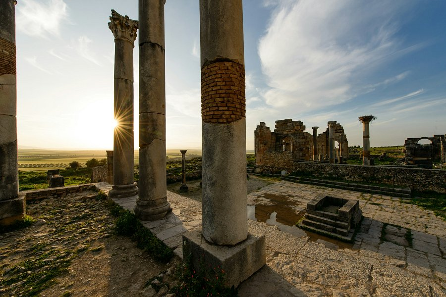 Volubilis &copy;PhotoHound