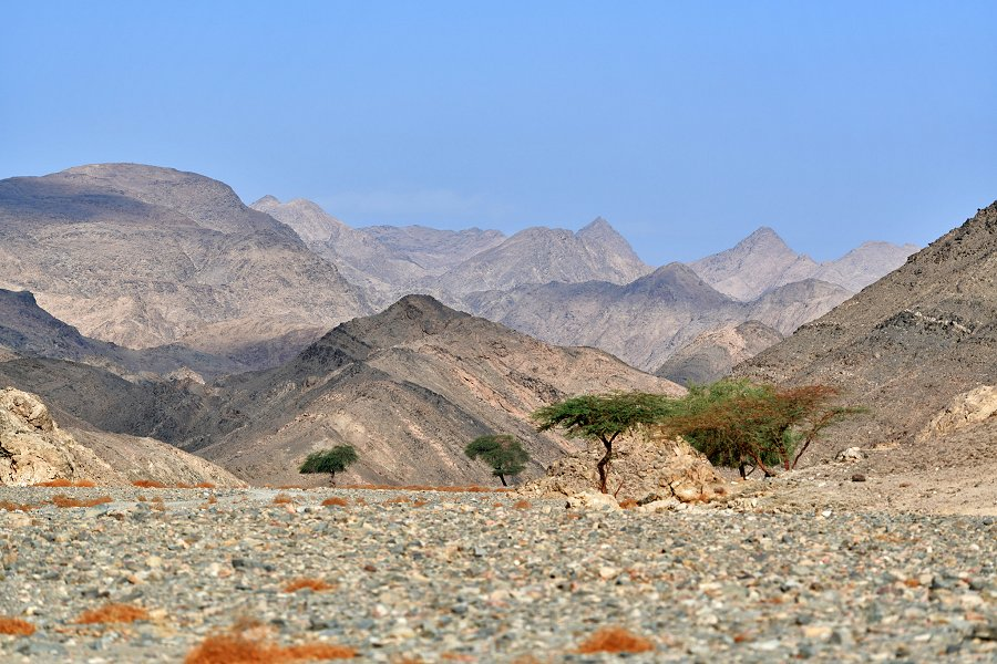 Wadi El Gemal National Park &copy;Panegyrics of Granovetter