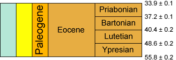 eocene