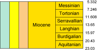 miocene