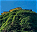 Photo of Adam's Peak