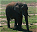 Photo of Addo Elephant National Park