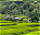 Photo of Banaue
