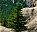 Photo of Black Hills National Forest