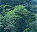 Photo of Bwindi Impenetrable National Park