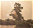 Photo of Cederberg Wilderness
