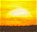 Photo of Danube Delta
